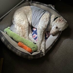 Giveaway- Free Shipping